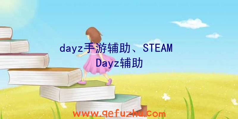 dayz手游辅助、STEAM